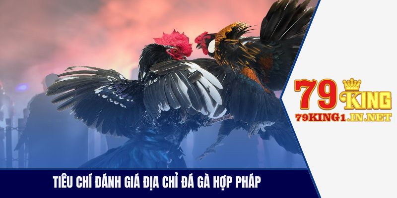 Trường Gà Hợp Pháp Nổi Tiếng Thu Hút Hội Viên Tham Gia Tiêu chí đánh giá địa chỉ đá gà hợp pháp