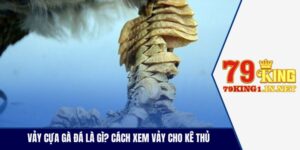 Vảy Cựa Gà Đá Là Gì? Cách Xem Vảy Chuẩn Cho Kê Thủ