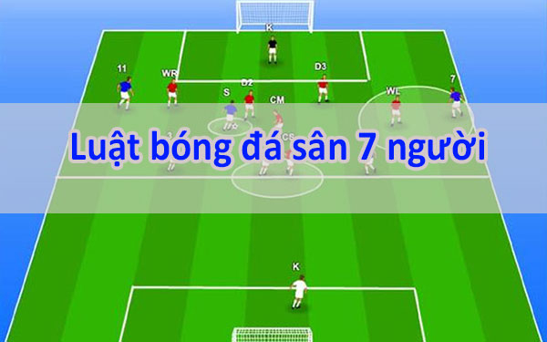 Luật Bóng Đá 7 Người — Hướng Dẫn Đầy Đủ Từ 79King 2026 Luật bóng đá 7 người là gì?